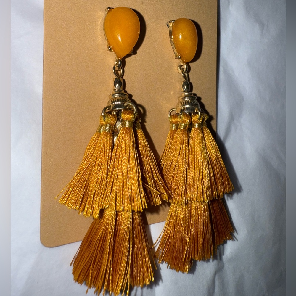 Elegant Tassel Earrings Set